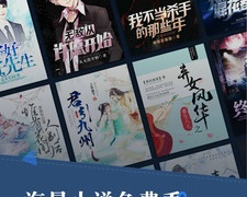 跟快爽小说相似的APP