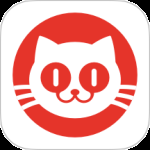 猫眼