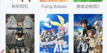 国外动漫改编的3DMMO手游