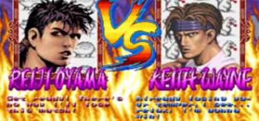 豪血寺一族2超全版本手游