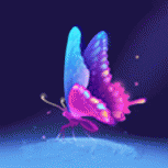 新花蝴蝶直播免购买版