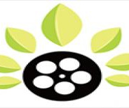 叶子影视中文版