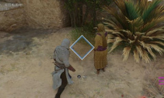 刺客信条幻景内置偷窃必定成功选项是什