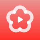 梅花视频免购买版