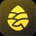 松果出行最新版