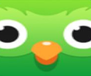 青鸟漫画纯净版