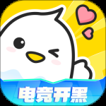 不鸽语音