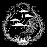 天鹅影视无限制版