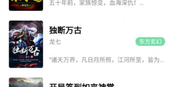 像小说仓库这样的APP