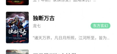 像小说仓库这样的APP