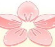 某某宗女修修炼手札