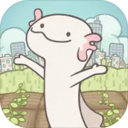 梦幻的城国际服