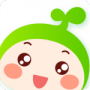 小豆苗
