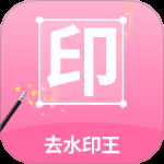 去水印王
