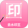 去水印王