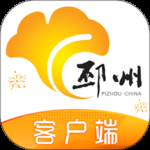 邳州银杏甲天下