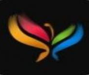 蝶恋花直播极速版