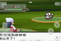 口袋妖怪心金金手指代码大全一览