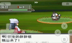 口袋妖怪心金金手指代码大全一览0