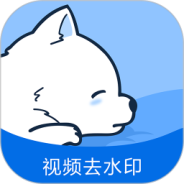 视频去水印专家