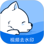 视频去水印专家
