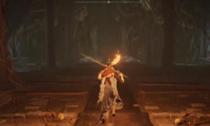 《艾尔登法环》艾尔登之王癫火之王结局完成方法2