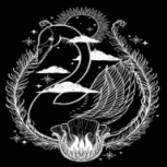 天鹅影视免费版