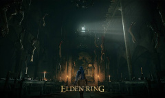 《艾尔登法环》新手推荐职业