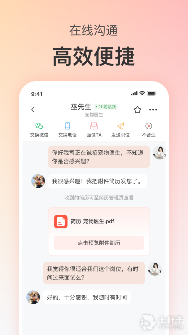 宠才宝3