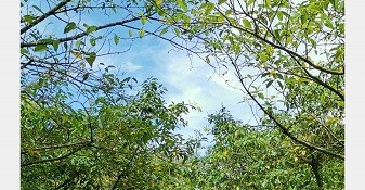 和一库视频很像的APP