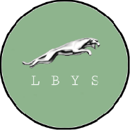 猎豹影视无删减版