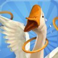 我用圈圈搂大鹅无限金币版