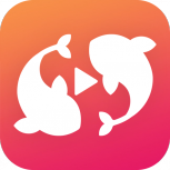 锦鲤影视移动版