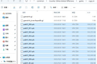 CS2国服反和谐教程指南