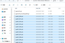 CS2国服反和谐教程指南