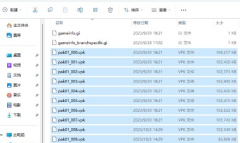 CS2国服反和谐教程指南
