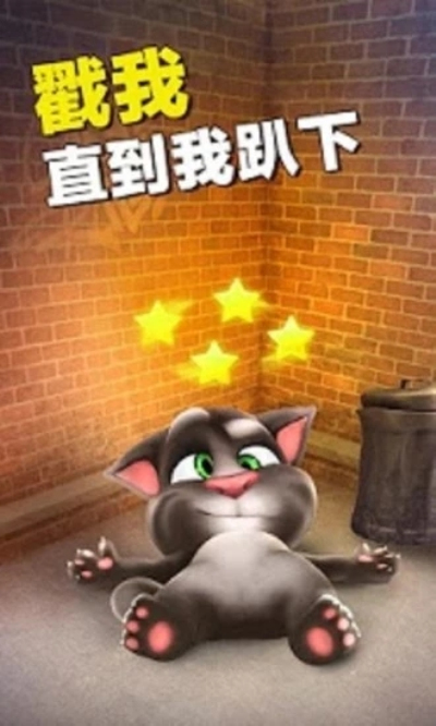 会说话的汤姆猫手游