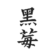 黑莓小说无广告版