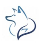 夜狼直播极速版