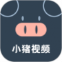 小猪视频原版