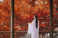 《侠女逍遥录》神都永安事件触发攻略一览