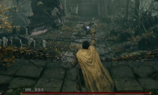 《艾尔登法环》Boss接肢葛瑞克打法1