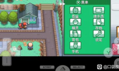 口袋妖怪起源心金小刚弟弟问题正确答案