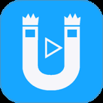 磁力链接播放器