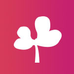 含羞草传媒免费版