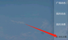 《和平精英》空间动态私密设置方法2