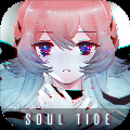 灵魂潮汐应用宝版