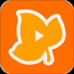 枫蜜直播清爽版