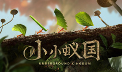 小小蚁国战斗的胜负由什么决定一览