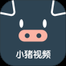 小猪视频高清版